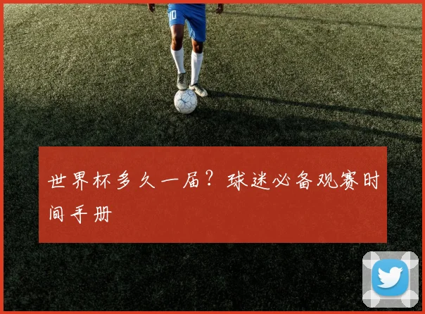 世界杯多久一届？球迷必备观赛时间手册