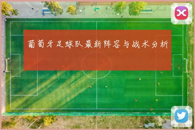 葡萄牙足球队最新阵容与战术分析