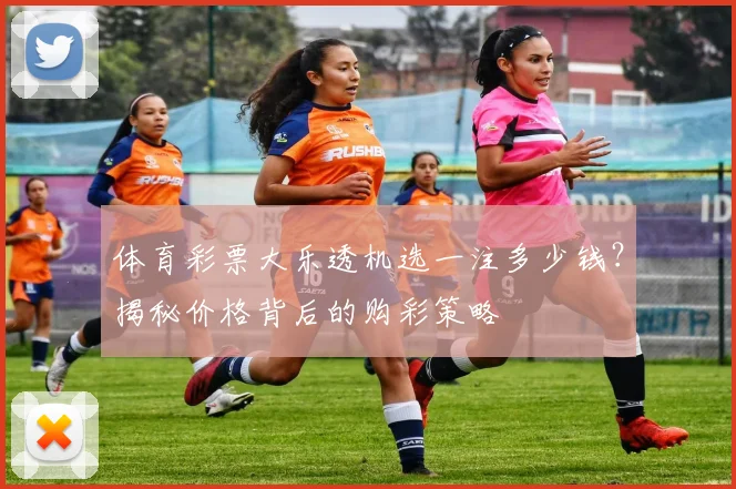 体育彩票大乐透机选一注多少钱?揭秘价格背后的购彩策略