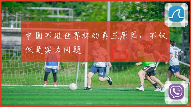 中国不进世界杯的真正原因,不仅仅是实力问题