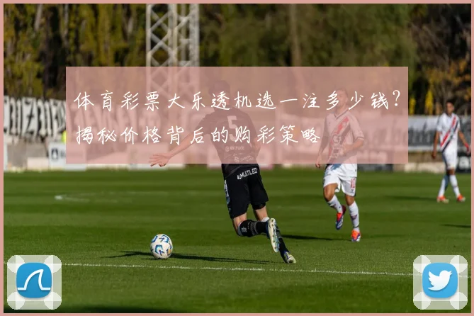 体育彩票大乐透机选一注多少钱?揭秘价格背后的购彩策略