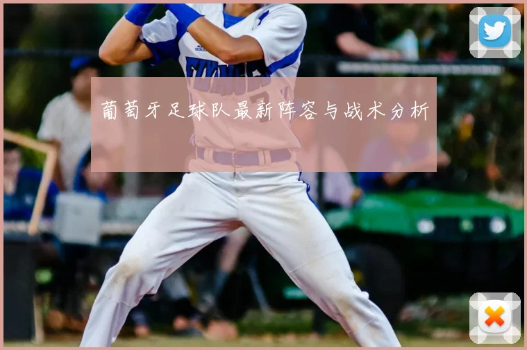 葡萄牙足球队最新阵容与战术分析